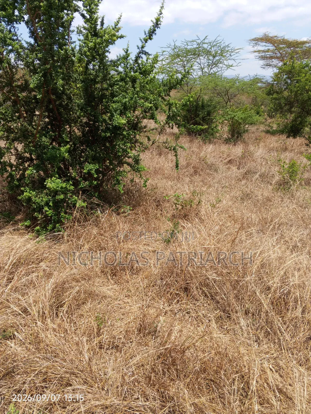 1.5 Acre Land Masii- Machakos County Selling at 1.2m