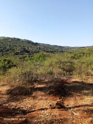 20 Acres Masii- Machakos County Selling at Per Acre