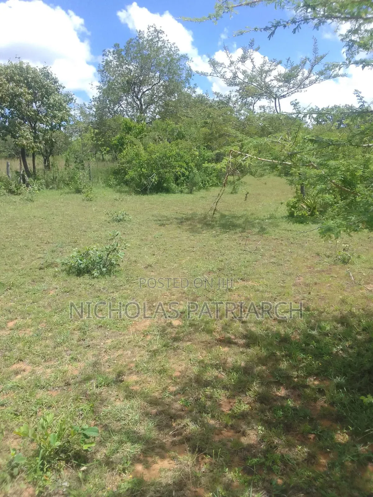 50 Acres Athiriver Near Waridi Farm Selling at 7m Per Acre