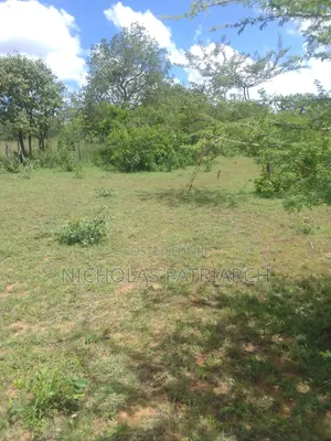 50 Acres Athiriver Near Waridi Farm Selling at 7m Per Acre