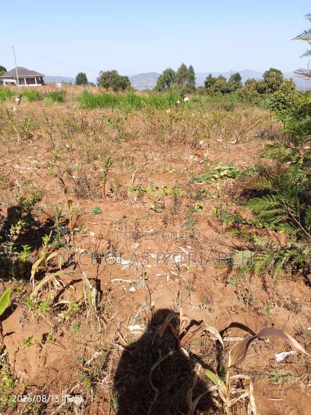 2 Acres Kola Machakos County Selling at Per Acre