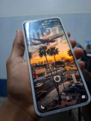 Vivo X200 Pro 512 GB Silver