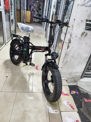 Electric Bike