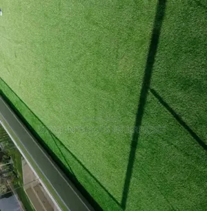 Club Grass Carpets Environmental Friendly Restaurant Grass Carpets
