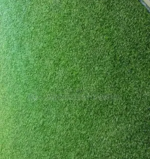 Landscaping Artificial Grass Carpets Environmental Friendly Justin