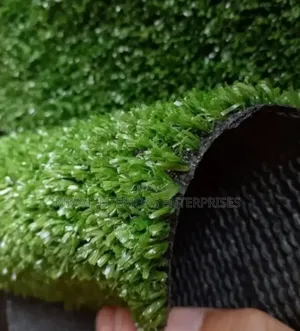 10mm Grass Carpets Grass Carpets Environmental Friendly Robertson's