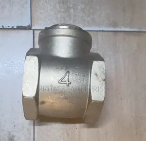 Brass Non Return Valve 4