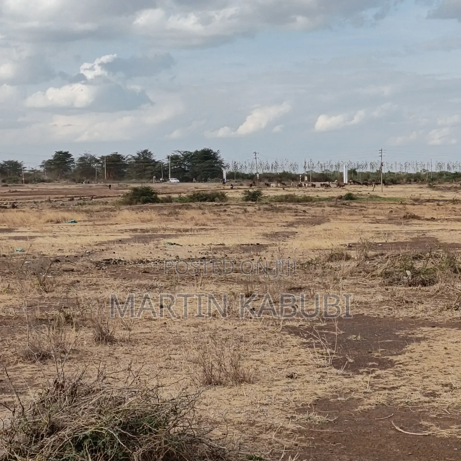 Lands and Plots