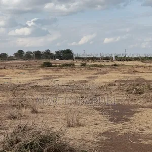 Lands and Plots