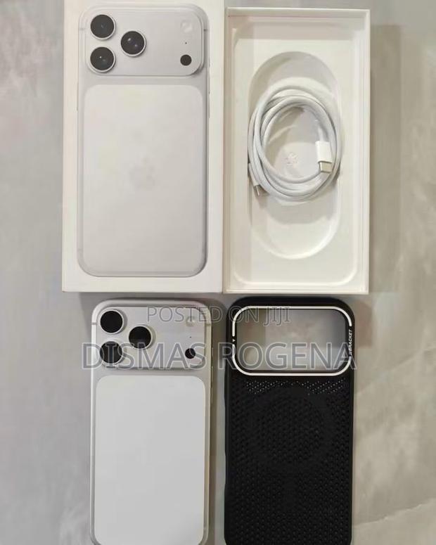 Apple iPhone 17 Pro Max 256 GB Silver - main view
