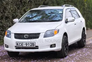 Toyota Corolla Fielder 2009 White