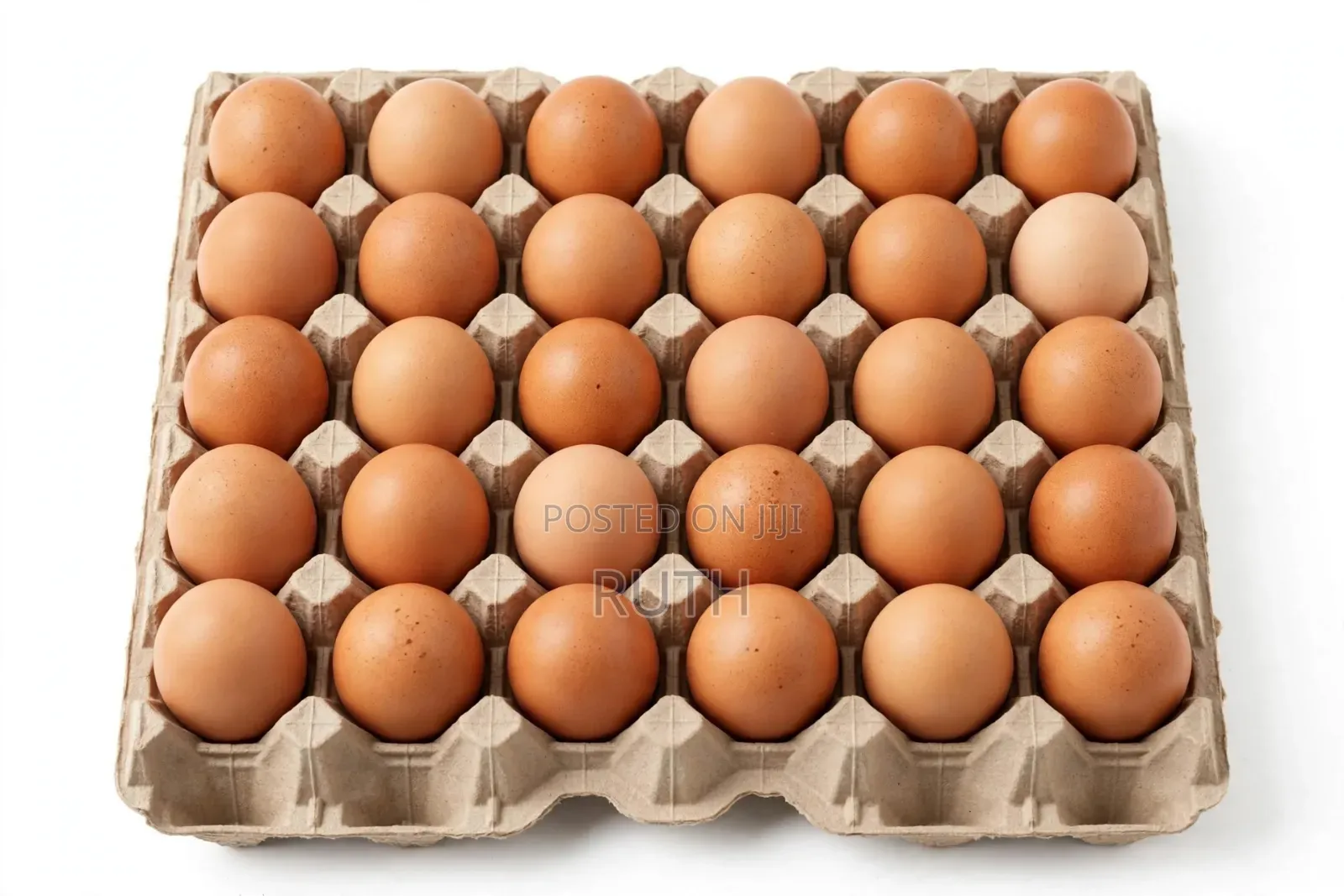 Eggs With Offer 1egg Sh 18 Wholesale