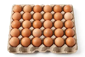 Eggs With Offer 1egg Sh 18 Wholesale