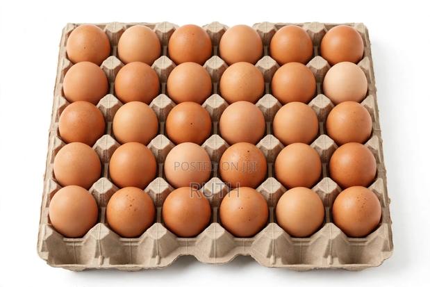 Eggs With Offer 1egg Sh 18 Wholesale