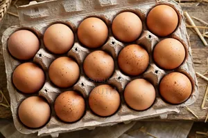 Eggs With Offer 1egg Sh 18 Wholesale