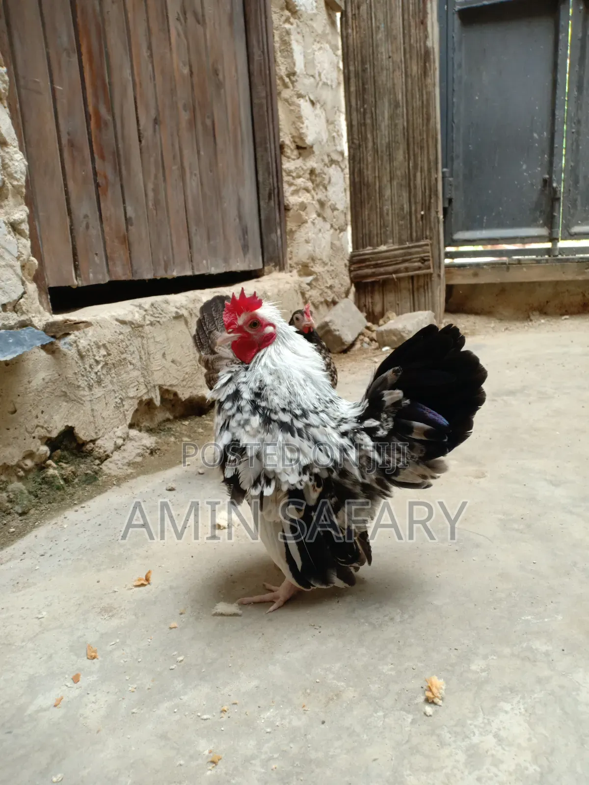 Serema Chicken