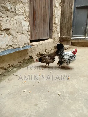 Serema Chicken