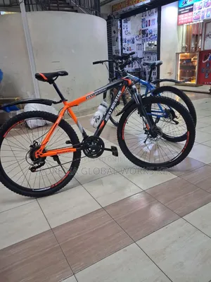 Rocky Mountain Size 29