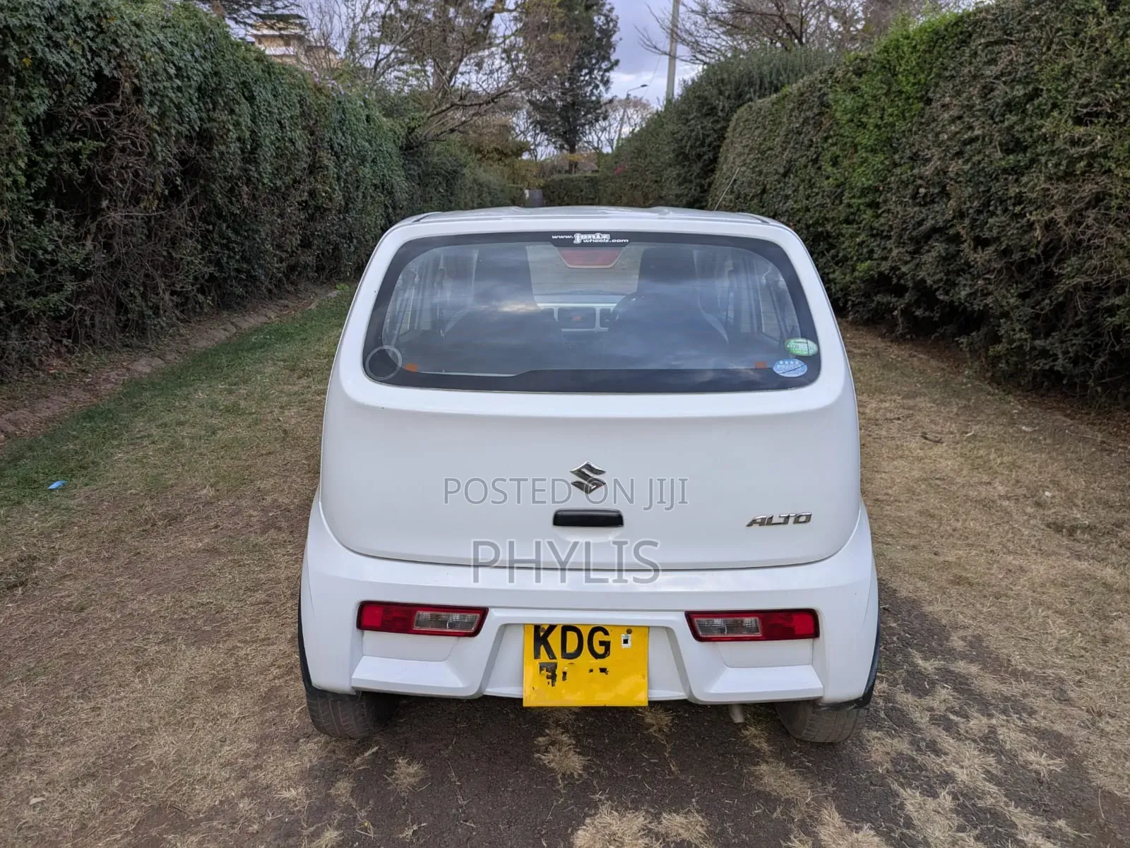 Suzuki Alto 2015 White