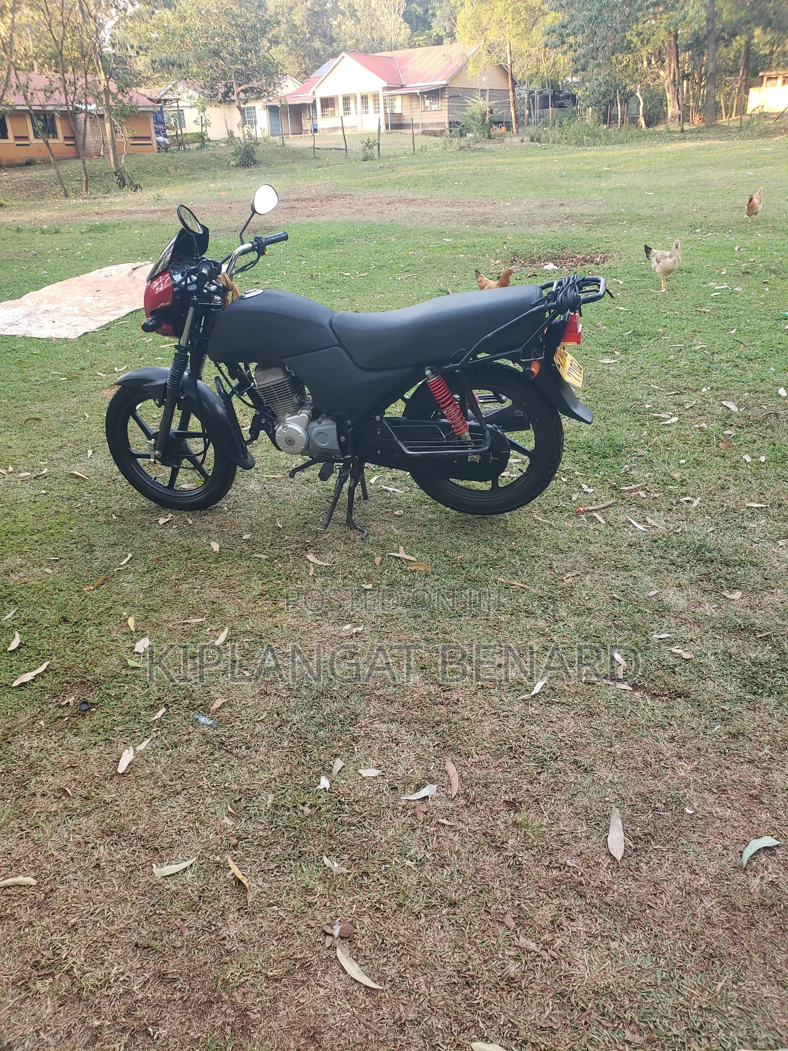 Honda 2025 Red