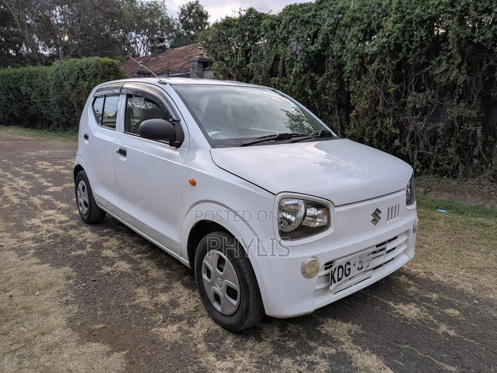 Suzuki Alto 2015 White