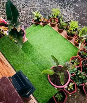 Door Steps Grass Carpets Grass Carpets Environmental Friendly Justin