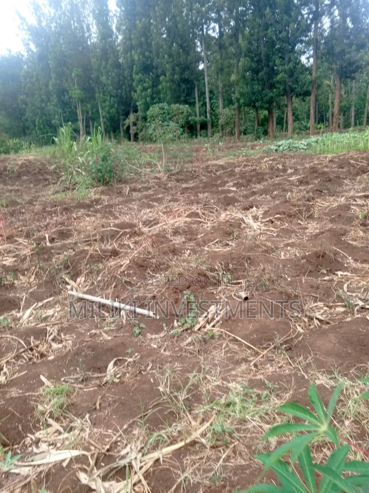 5.2 Acres Land on Sale at Meru -Chuka