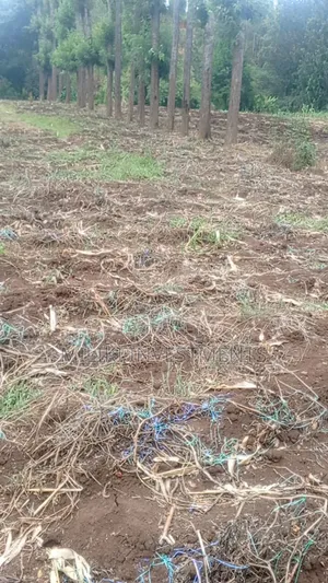 5.2 Acres Land on Sale at Meru -Chuka