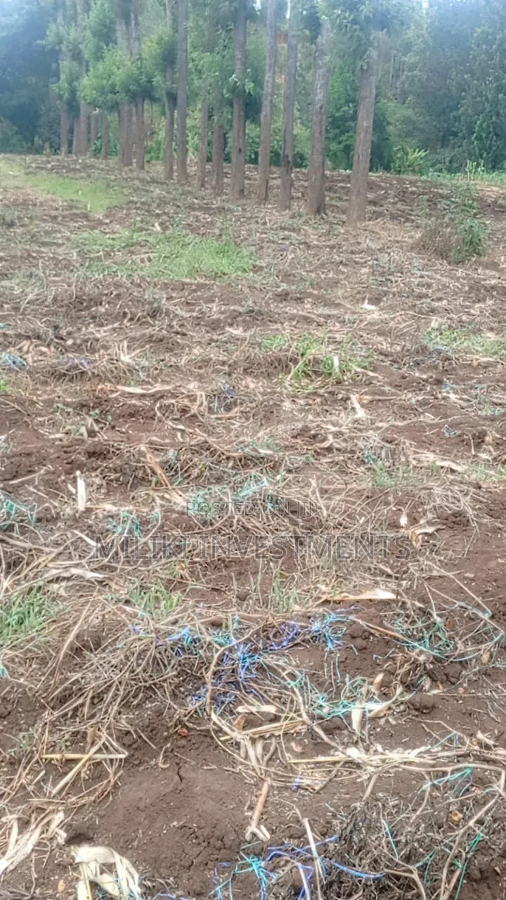 5.2 Acres Land on Sale at Meru -Chuka