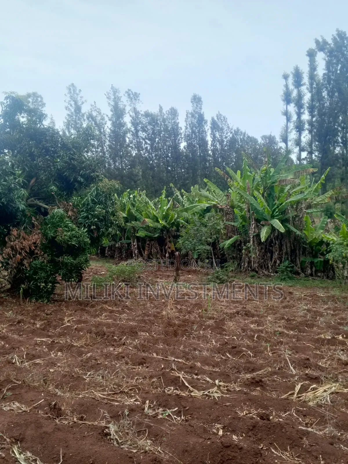 5.2 Acres Land on Sale at Meru -Chuka