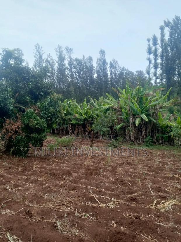 5.2 Acres Land on Sale at Meru -Chuka - thumbnail 6