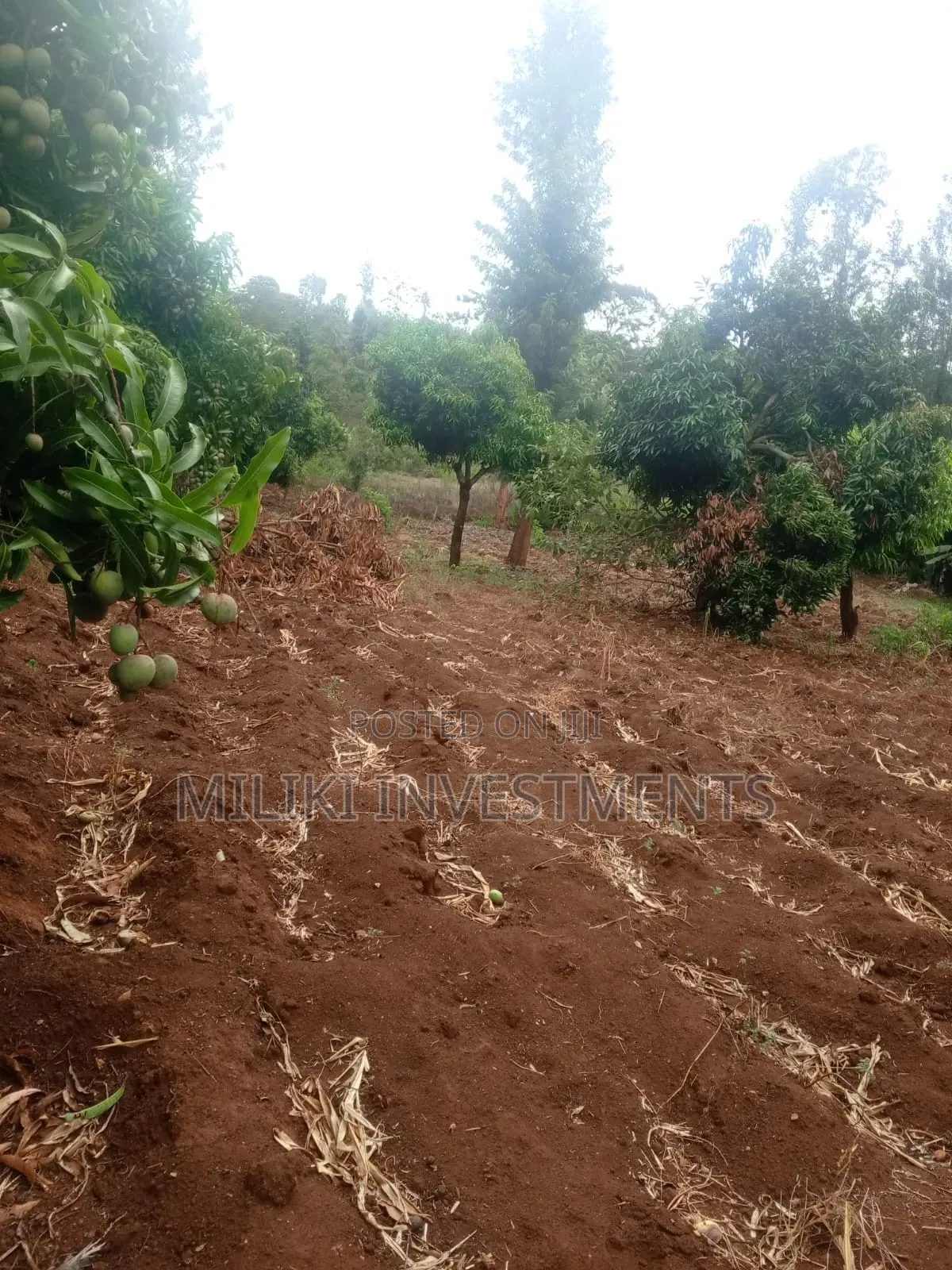 5.2 Acres Land on Sale at Meru -Chuka
