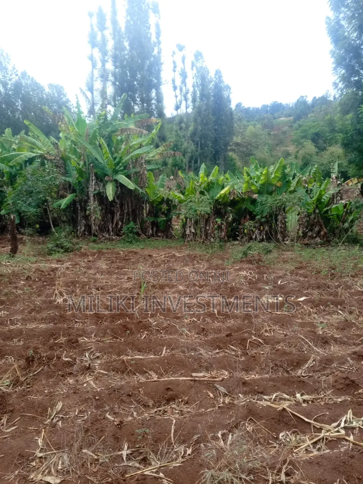 5.2 Acres Land on Sale at Meru -Chuka