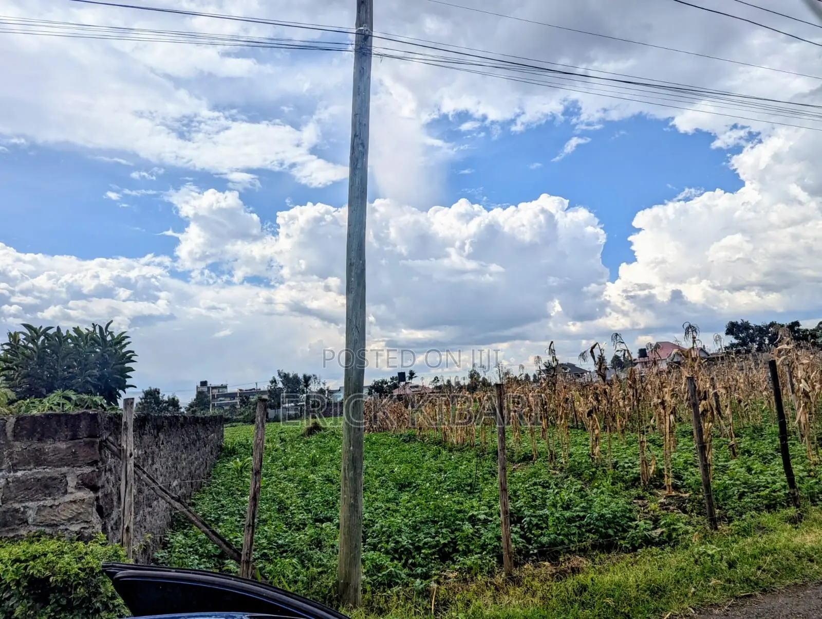 Land for Sale