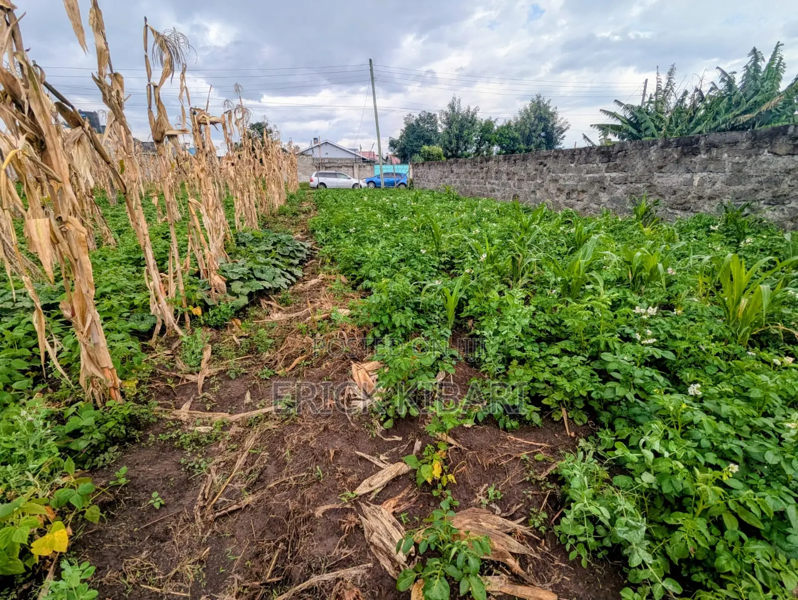 Land for Sale