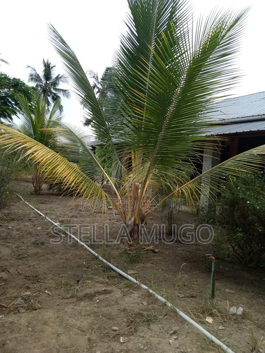  Prime 5-Acre Farm for Sale – Ngombe Matibeani, Kwale County