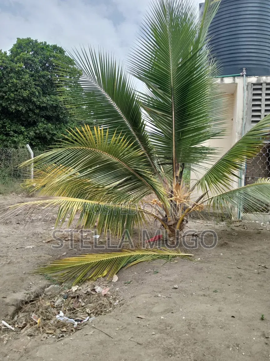  Prime 5-Acre Farm for Sale – Ngombe Matibeani, Kwale County