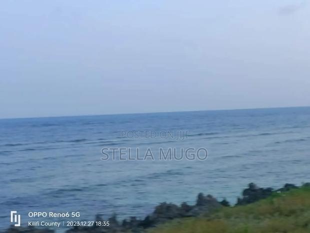 Prime 1 Acre Beachfront - thumbnail 4