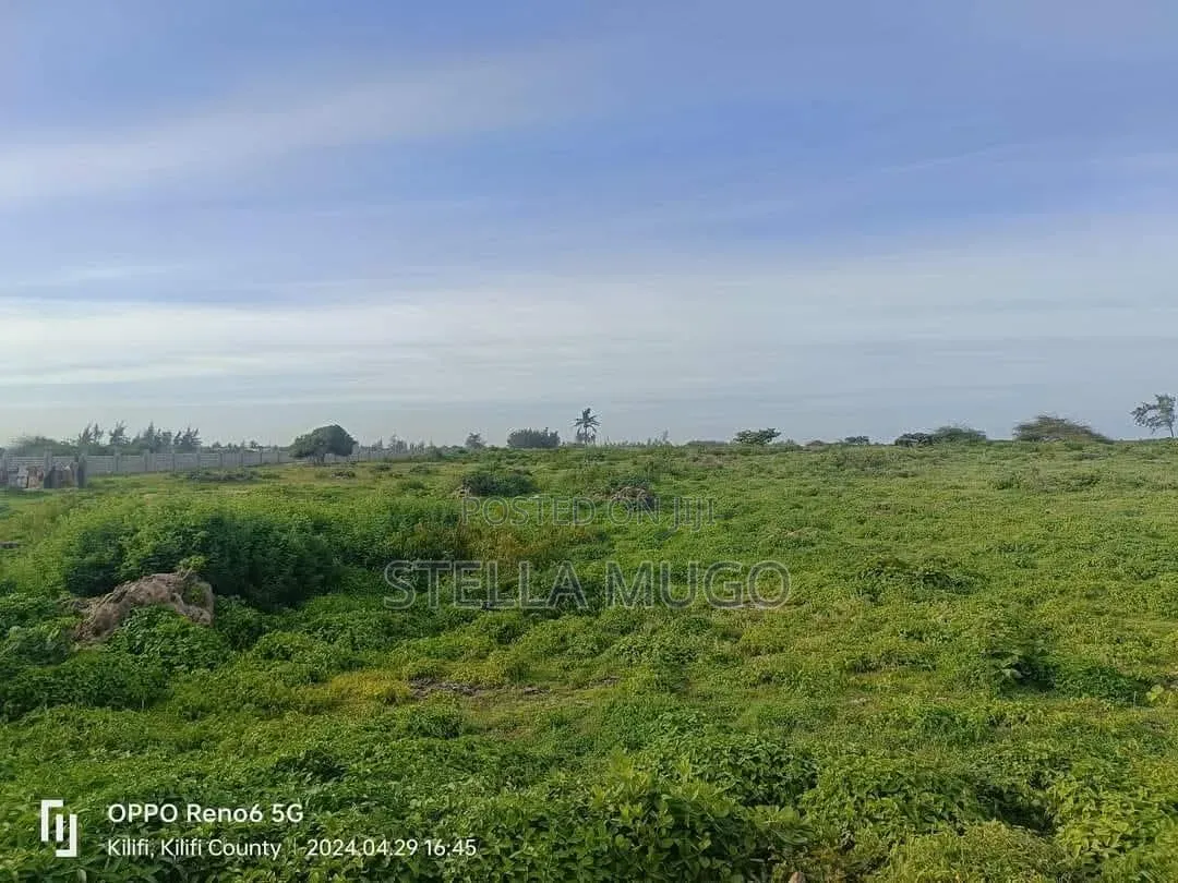 Prime 1 Acre Beachfront
