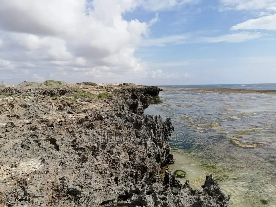 Prime 1 Acre Beachfront