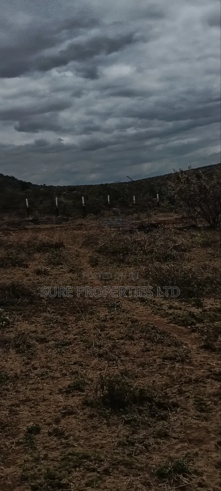 50x100 Prime Plots. Kikuyu Mikuyuini