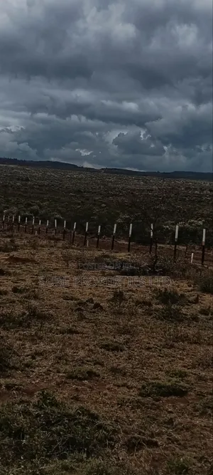 50x100 Prime Plots. Kikuyu Mikuyuini