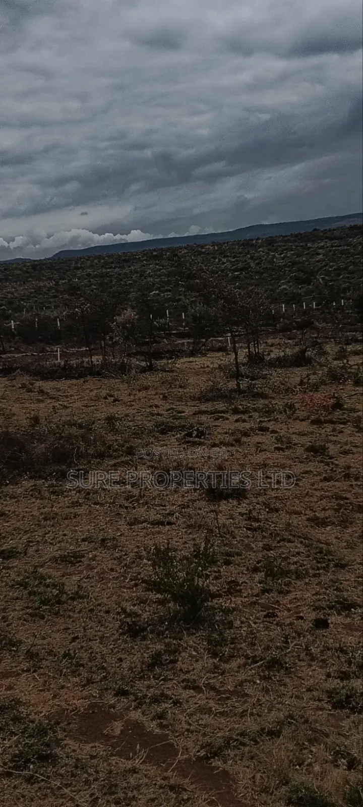 50x100 Prime Plots. Kikuyu Mikuyuini