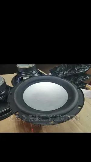 Woffer 6 Inch Bass Naked Speakers