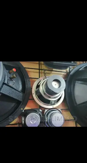 Woffer 6 Inch Bass Naked Speakers