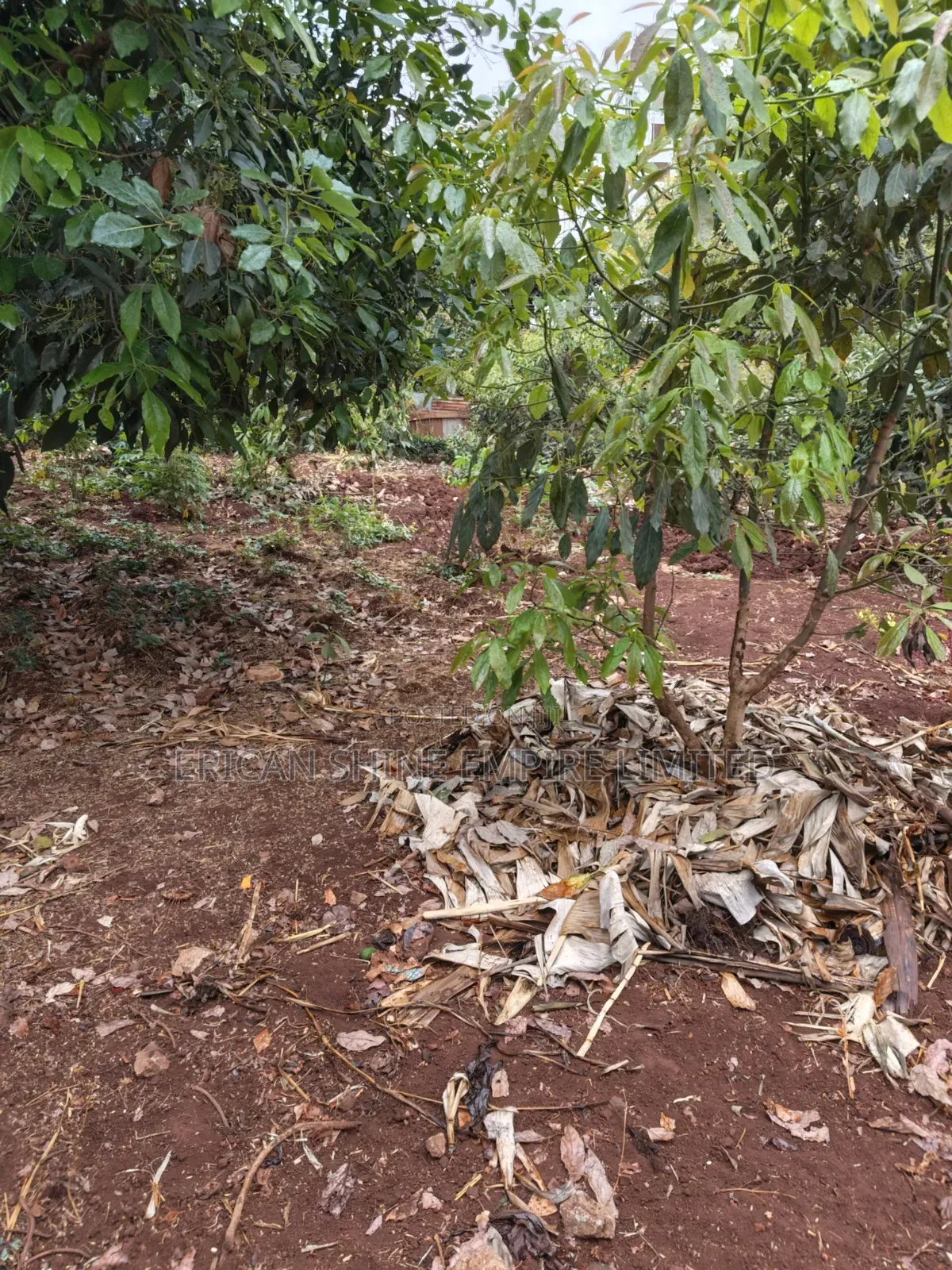 3/4 Prime Land for Lease