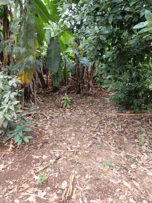 3/4 Prime Land for Lease