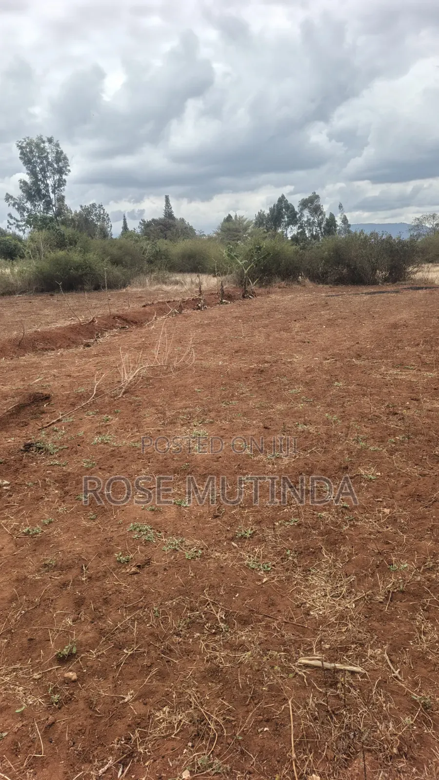 1acre in Tala