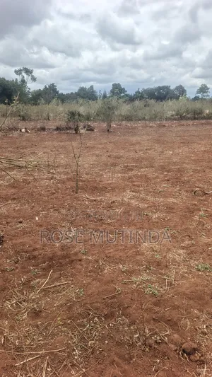 1acre in Tala