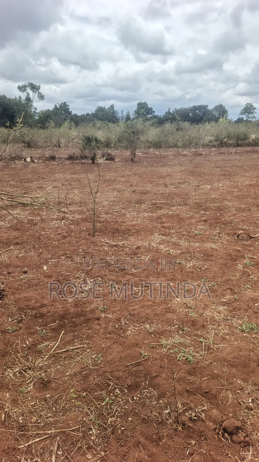 1acre in Tala